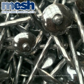 wholesales galvanized roofing nails with rubber